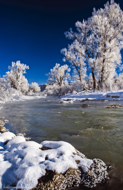 Frosty River 2-1.jpg